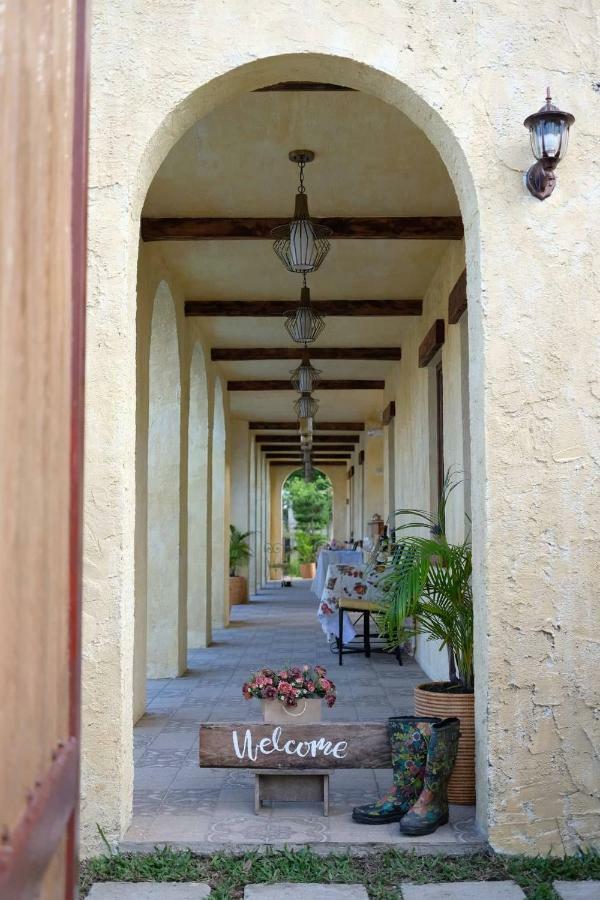 La Casa Di Beatrice Bed and Breakfast Panglao Eksteriør billede